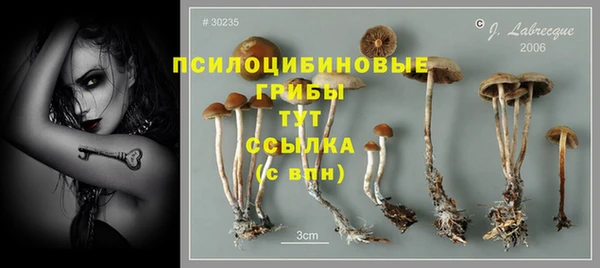 хмурый Липки