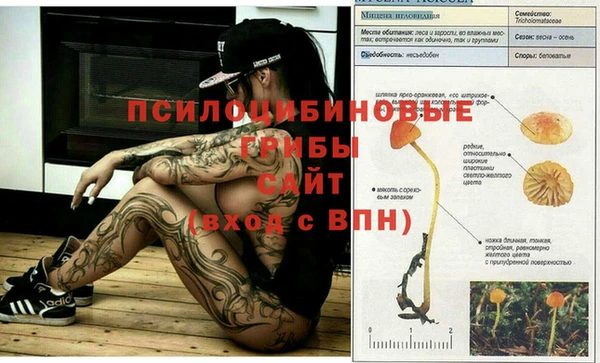 jwh Майский