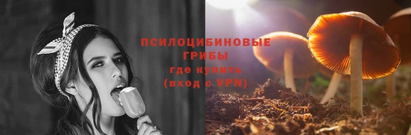 хмурый Липки