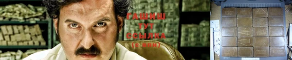 ПСИЛОЦИБИНОВЫЕ ГРИБЫ Магас